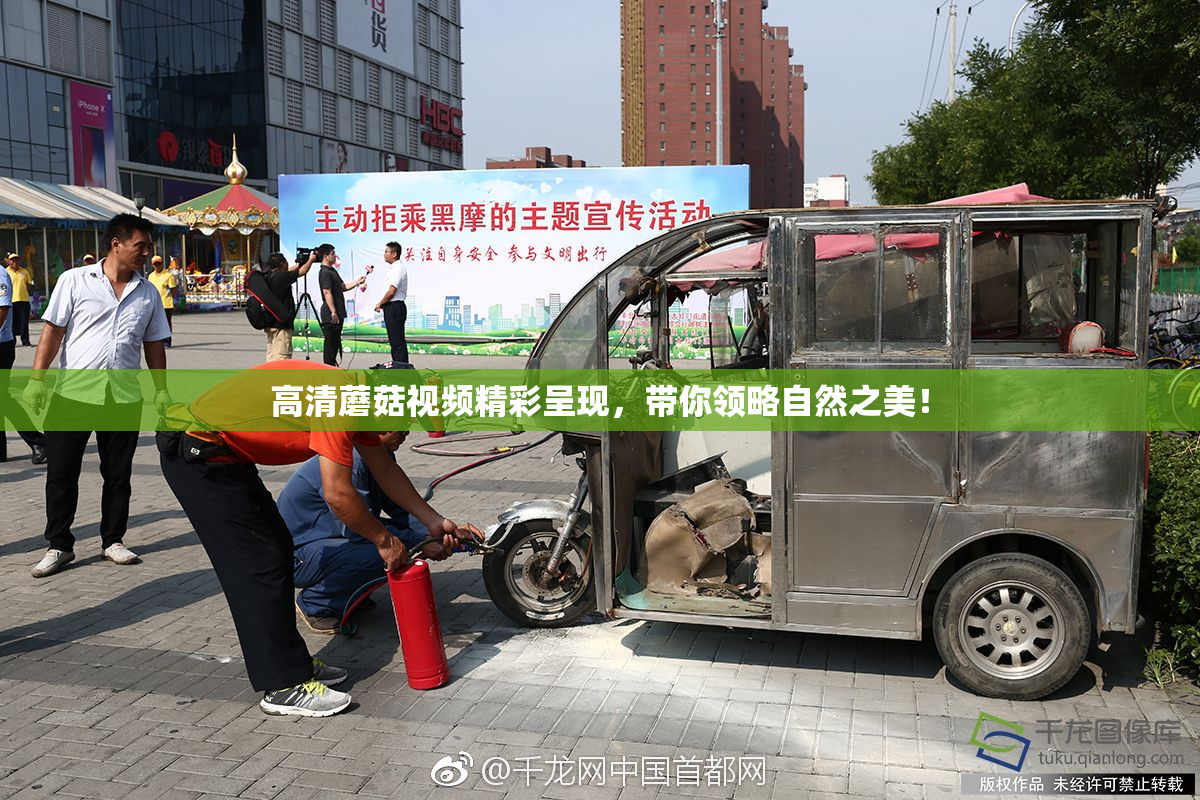 高清蘑菇视频精彩呈现，带你领略自然之美！