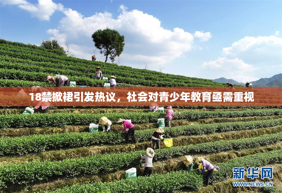 18禁掀裙引发热议，社会对青少年教育亟需重视