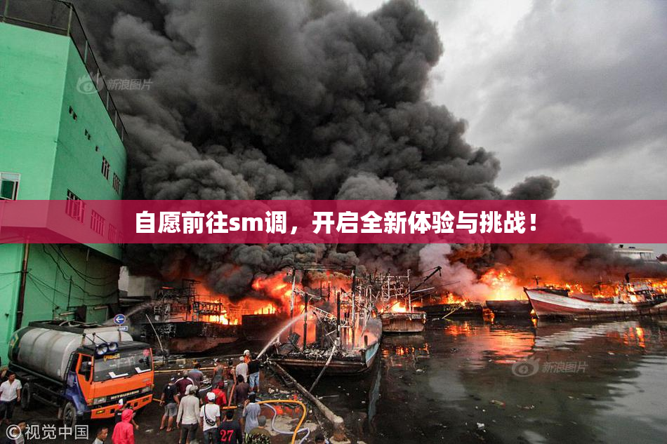 自愿前往sm调，开启全新体验与挑战！
