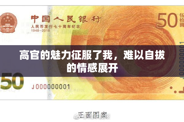 高官的魅力征服了我，难以自拔的情感展开