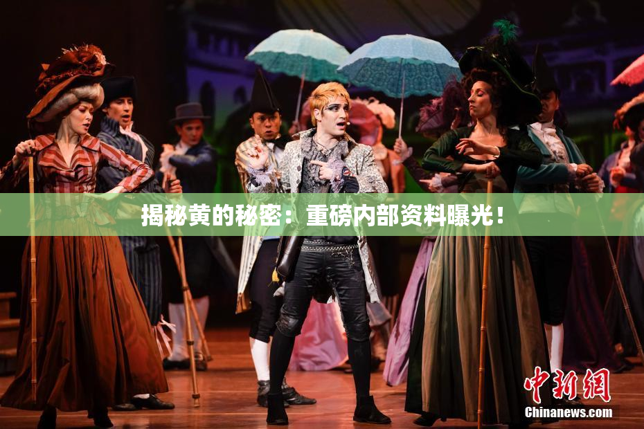 揭秘黄的秘密：重磅内部资料曝光！