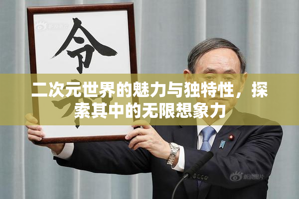 二次元世界的魅力与独特性，探索其中的无限想象力