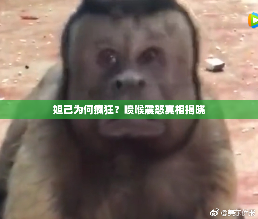 妲己为何疯狂？喷喉震怒真相揭晓