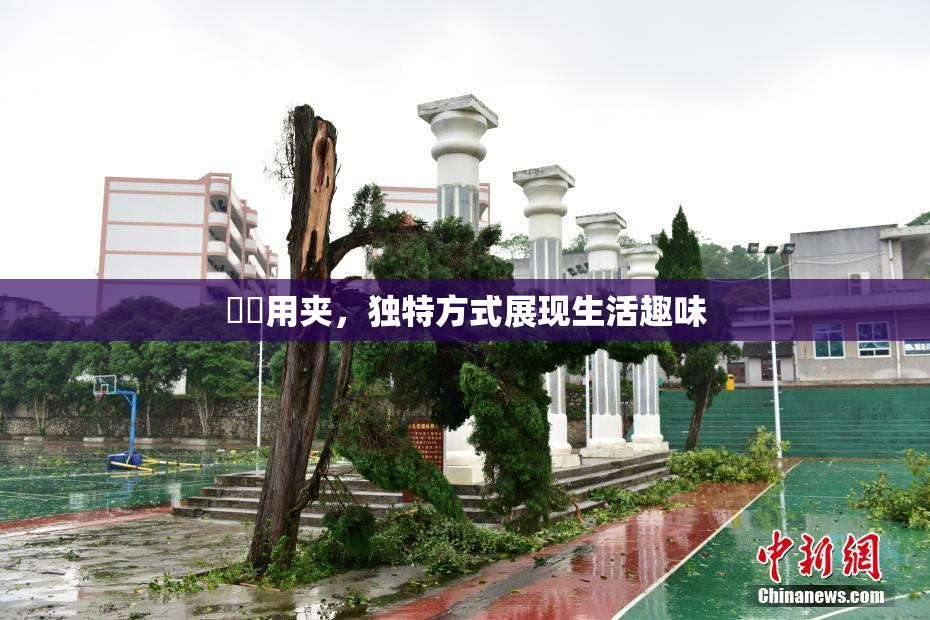 妺妺用夹，独特方式展现生活趣味
