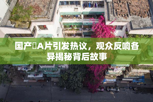 国产婬A片引发热议，观众反响各异揭秘背后故事
