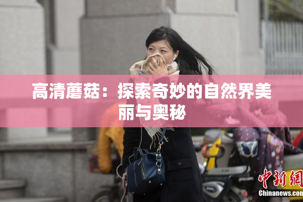 高清蘑菇：探索奇妙的自然界美丽与奥秘