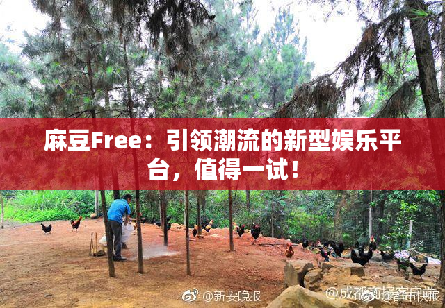 麻豆Free：引领潮流的新型娱乐平台，值得一试！