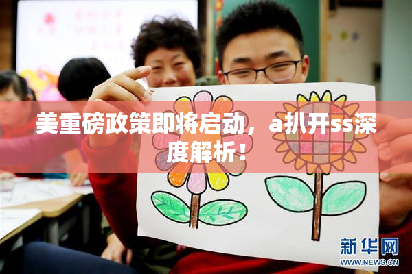美重磅政策即将启动，a扒开ss深度解析！