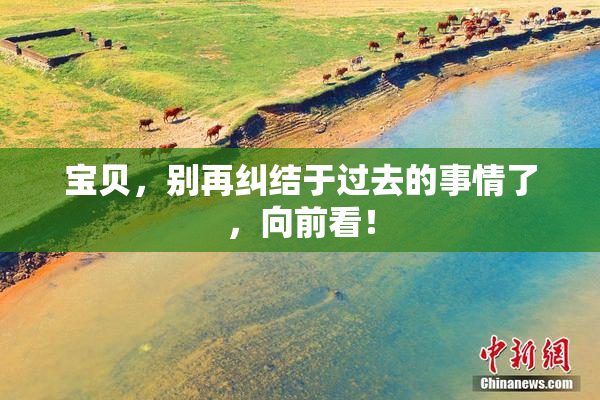 宝贝，别再纠结于过去的事情了，向前看！