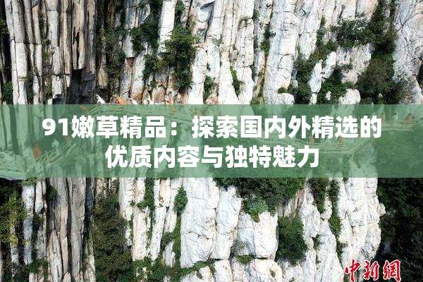 91嫩草精品：探索国内外精选的优质内容与独特魅力