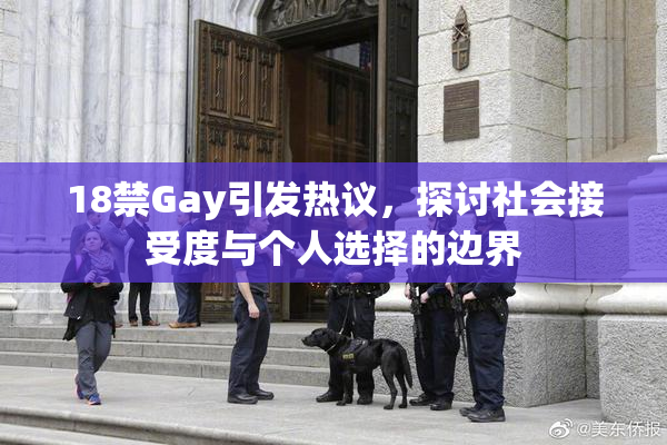 18禁Gay引发热议，探讨社会接受度与个人选择的边界