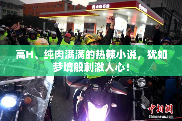 高H、纯肉满满的热辣小说，犹如梦境般刺激人心！