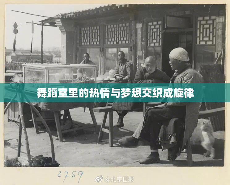 舞蹈室里的热情与梦想交织成旋律