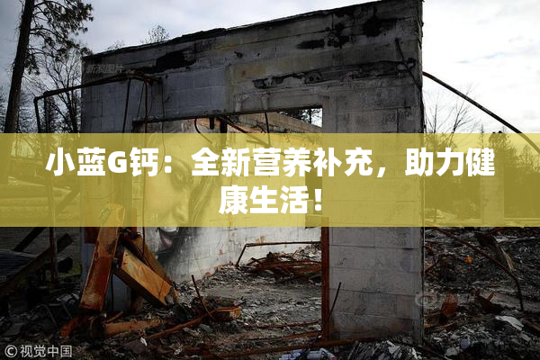 小蓝G钙：全新营养补充，助力健康生活！