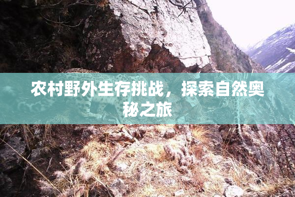 农村野外生存挑战，探索自然奥秘之旅