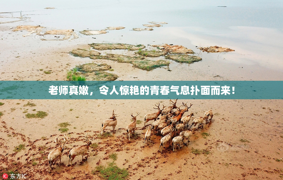 老师真嫩，令人惊艳的青春气息扑面而来！