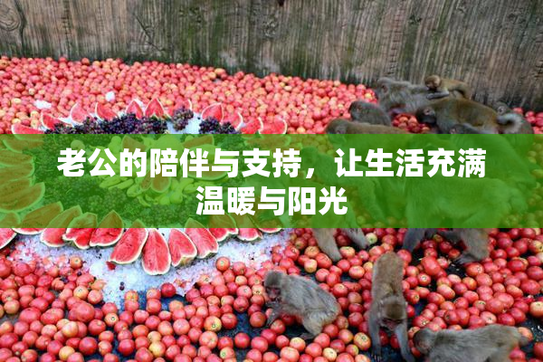 老公的陪伴与支持，让生活充满温暖与阳光