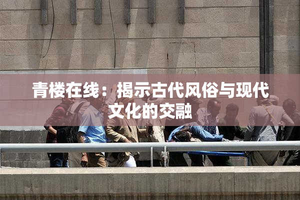 青楼在线：揭示古代风俗与现代文化的交融