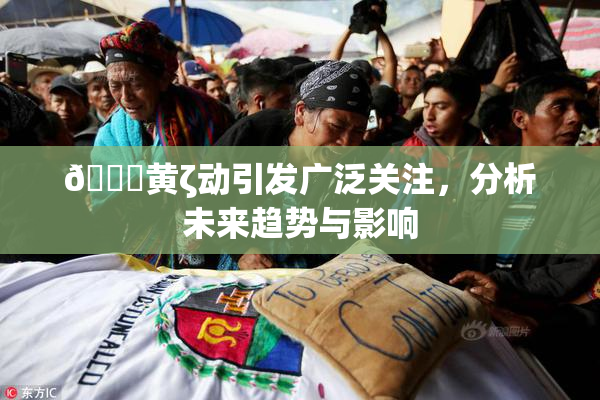 🔞黄ζ动引发广泛关注，分析未来趋势与影响