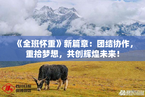 《全班怀重》新篇章：团结协作，重拾梦想，共创辉煌未来！