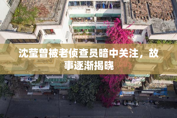 沈莹曾被老侦查员暗中关注，故事逐渐揭晓