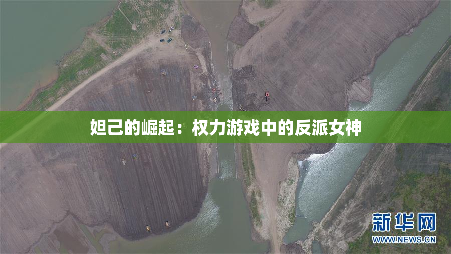 妲己的崛起：权力游戏中的反派女神