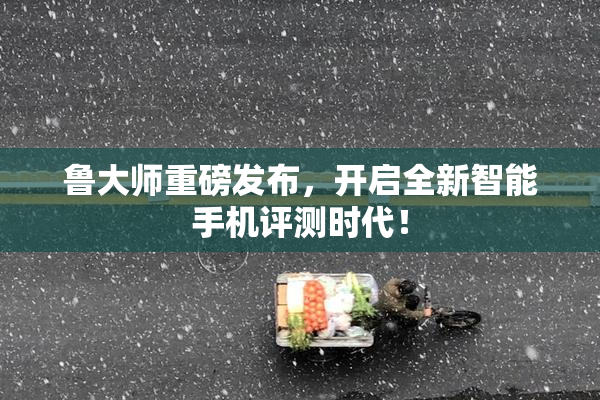 鲁大师重磅发布，开启全新智能手机评测时代！