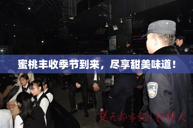 蜜桃丰收季节到来，尽享甜美味道！