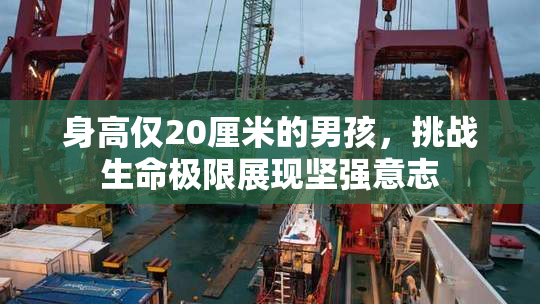 身高仅20厘米的男孩，挑战生命极限展现坚强意志
