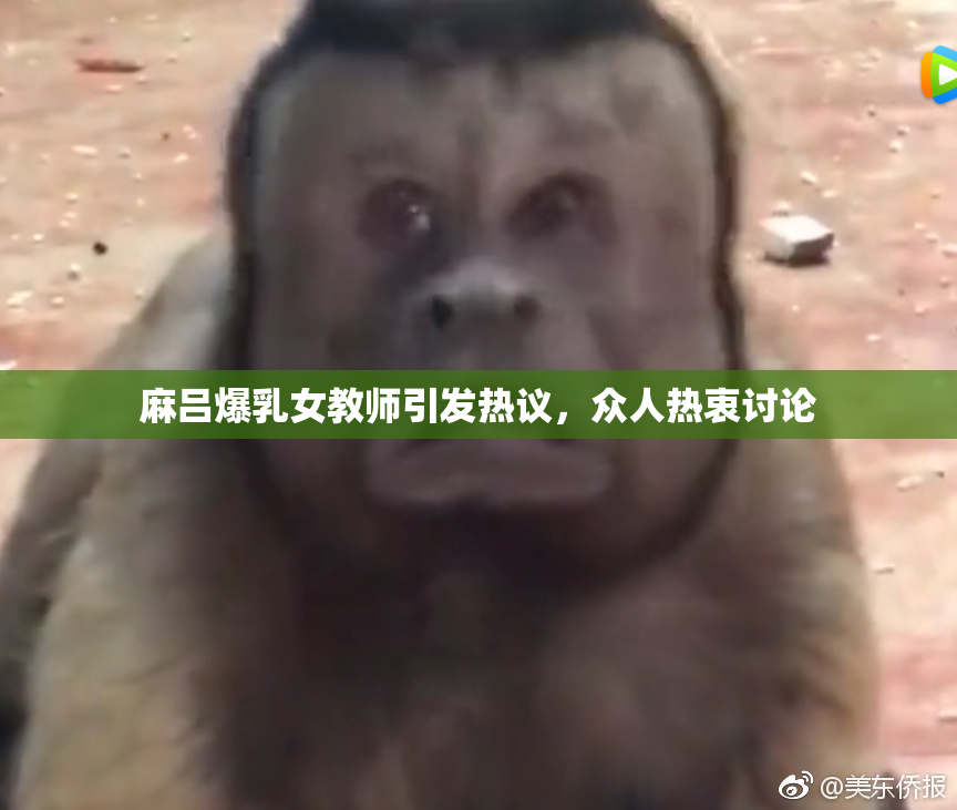麻吕爆乳女教师引发热议，众人热衷讨论