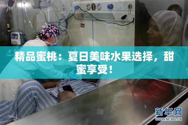 精品蜜桃：夏日美味水果选择，甜蜜享受！