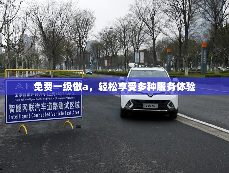 免费一级做a，轻松享受多种服务体验