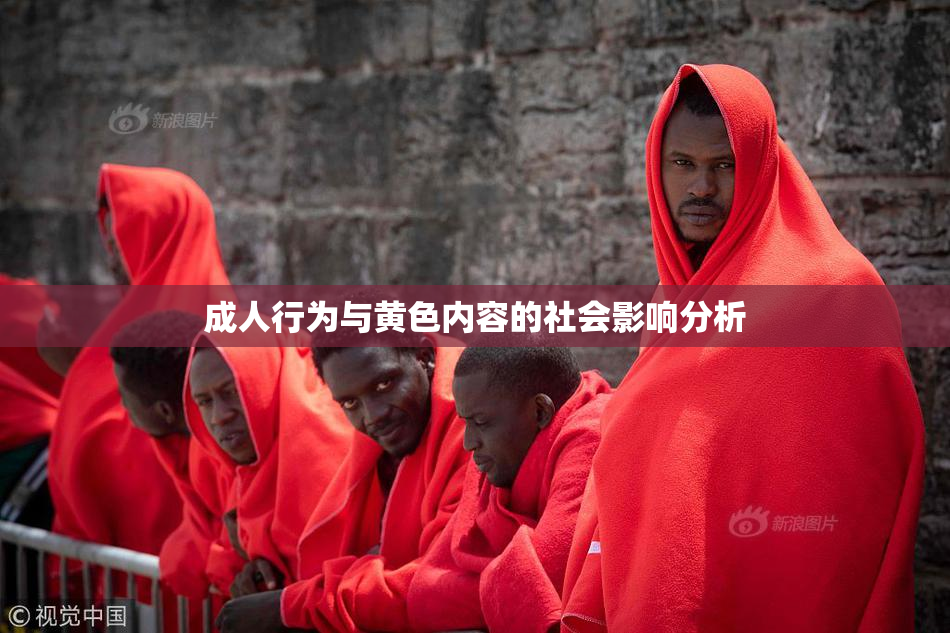 成人行为与黄色内容的社会影响分析