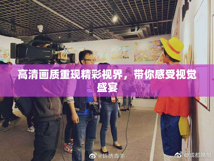 高清画质重现精彩视界，带你感受视觉盛宴