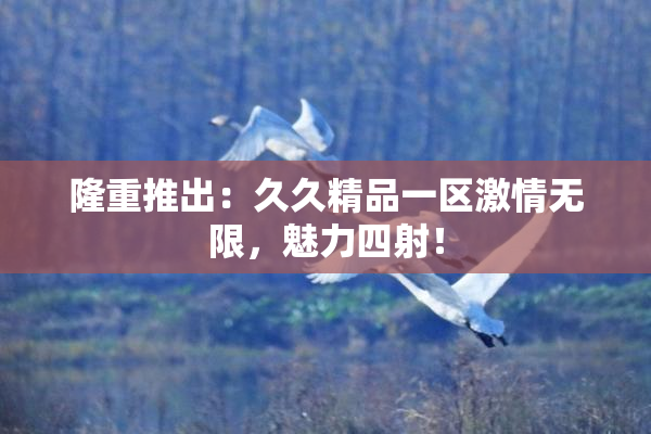隆重推出：久久精品一区激情无限，魅力四射！