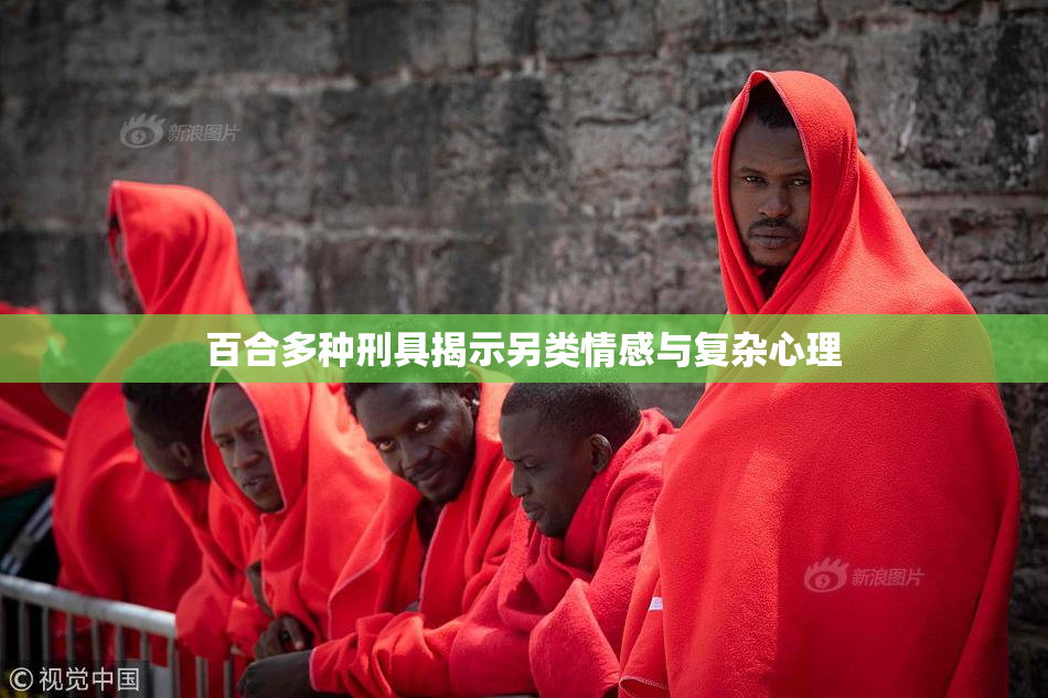 百合多种刑具揭示另类情感与复杂心理