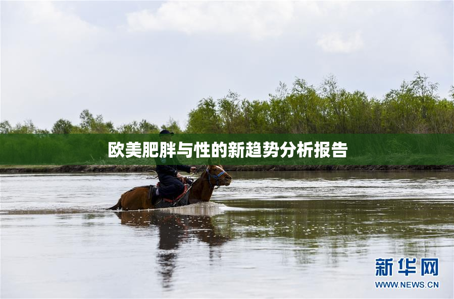 欧美肥胖与性的新趋势分析报告