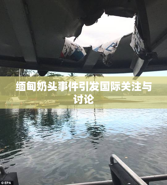 缅甸奶头事件引发国际关注与讨论
