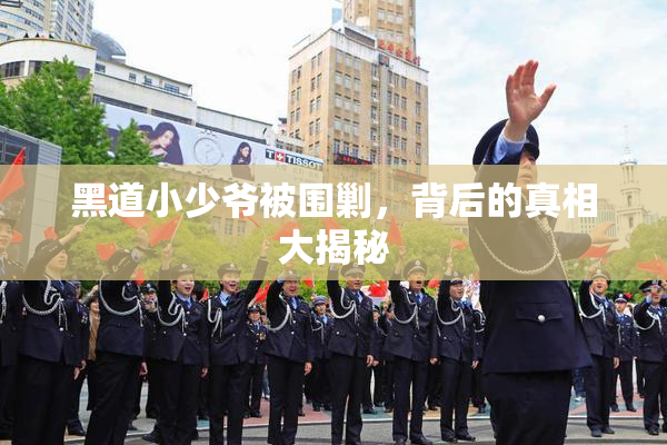 黑道小少爷被围剿，背后的真相大揭秘