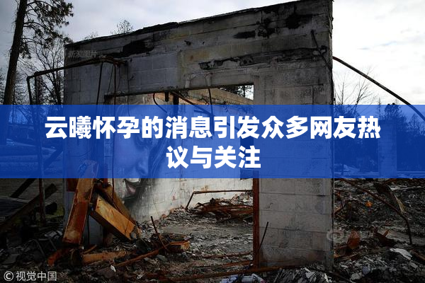 云曦怀孕的消息引发众多网友热议与关注