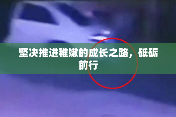 坚决推进稚嫩的成长之路，砥砺前行