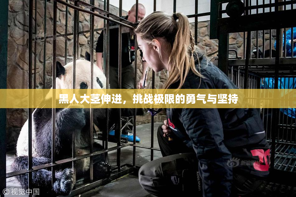 黑人大茎伸进，挑战极限的勇气与坚持
