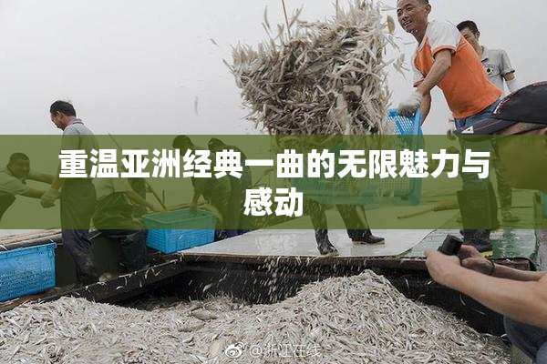 重温亚洲经典一曲的无限魅力与感动