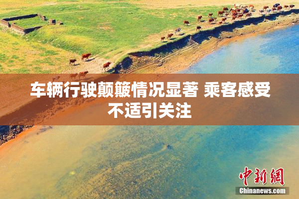 车辆行驶颠簸情况显著 乘客感受不适引关注