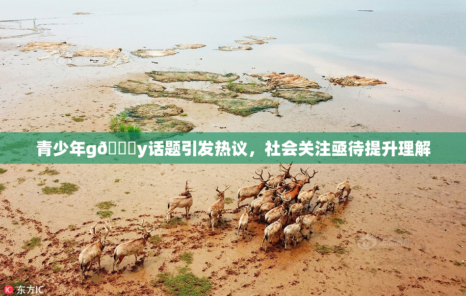 青少年g🈚y话题引发热议，社会关注亟待提升理解