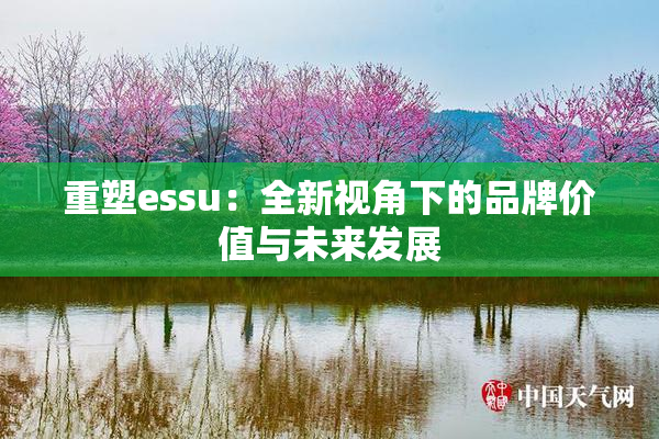 重塑essu：全新视角下的品牌价值与未来发展