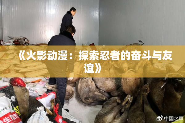 《火影动漫：探索忍者的奋斗与友谊》