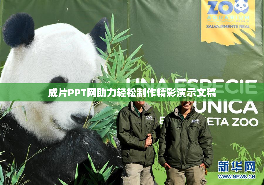 成片PPT网助力轻松制作精彩演示文稿