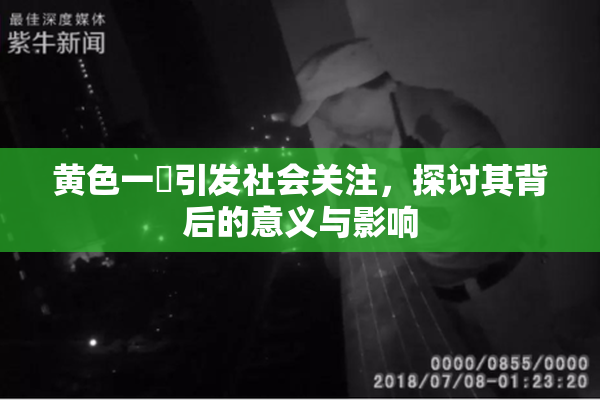 黄色一級引发社会关注，探讨其背后的意义与影响