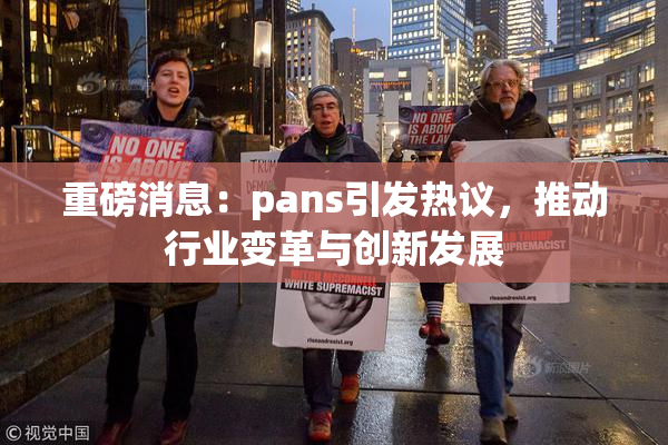 重磅消息：pans引发热议，推动行业变革与创新发展